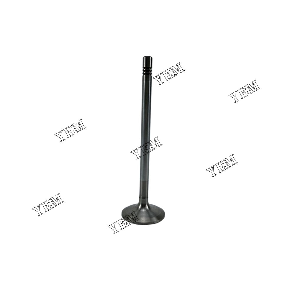 D9508 Intake Valve 10120987A 9078513A For Liebherr Engine Parts