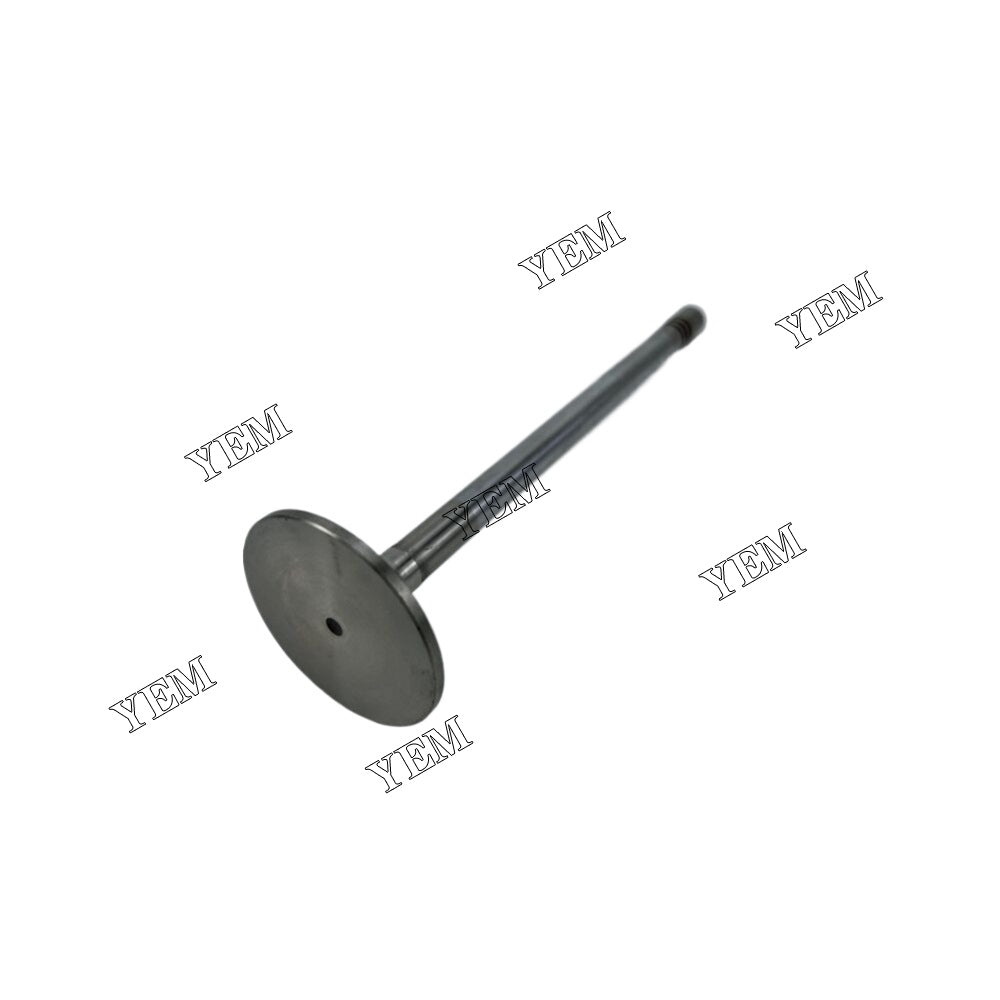 D9508 Intake Valve 10120987A 9078513A For Liebherr Engine Parts